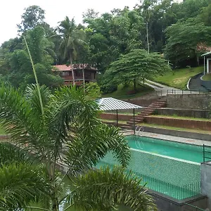Blooms Green Farm Panamaram
